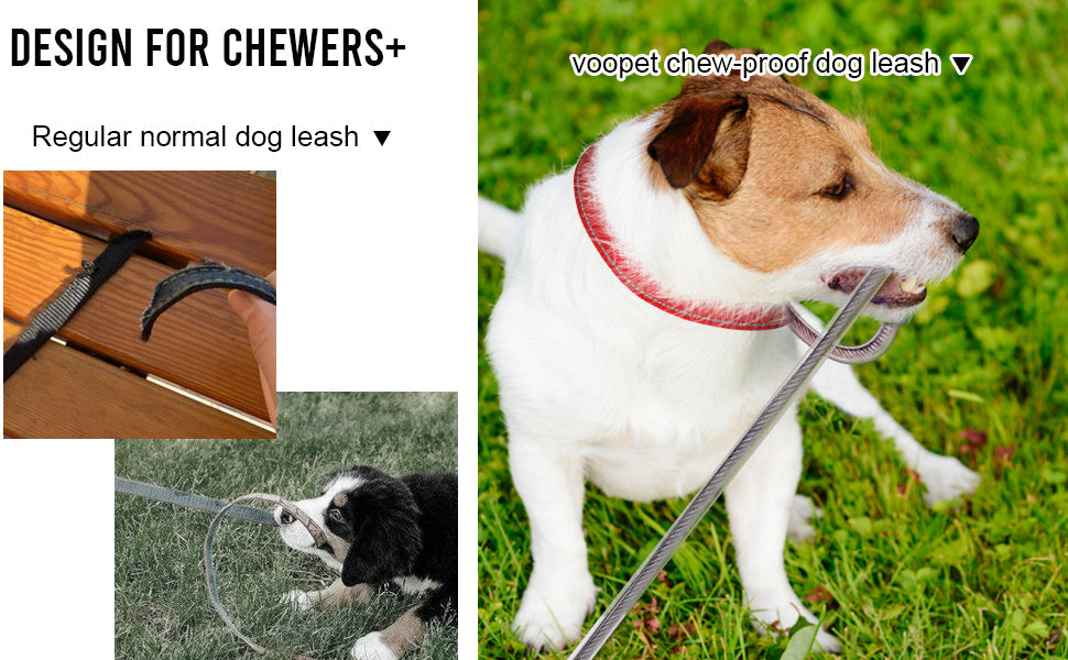 Chew‑Proof Leash Extension